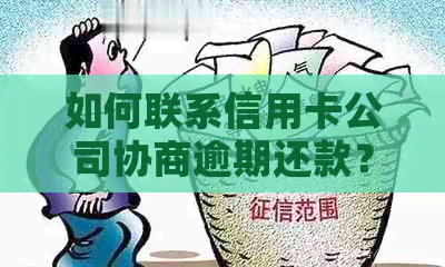 如何联系信用卡公司协商逾期还款？