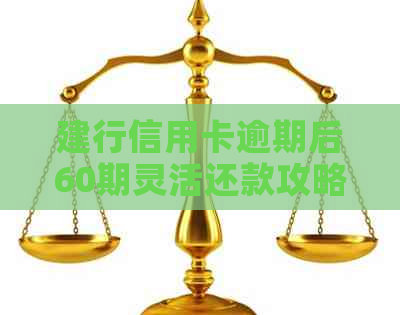 建行信用卡逾期后60期灵活还款攻略，详尽流程解析