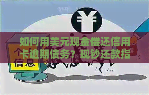 如何用美元现金偿还信用卡逾期债务？现钞还款指南及资讯