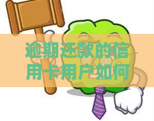 逾期还款的信用卡用户如何与银行协商还本金并避免影响信用？