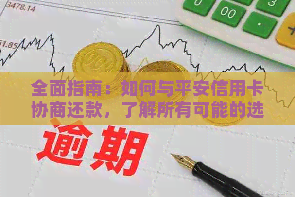 全面指南：如何与平安信用卡协商还款，了解所有可能的选项和步骤