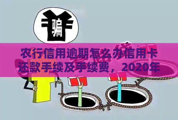 农行信用逾期怎么办信用卡还款手续及手续费，2020年新法规解析