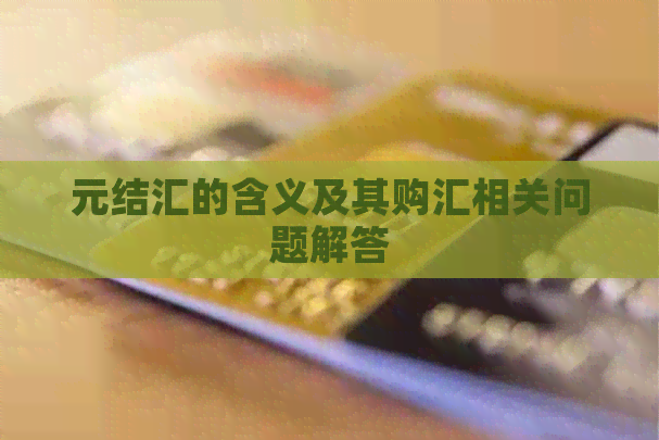 元结汇的含义及其购汇相关问题解答