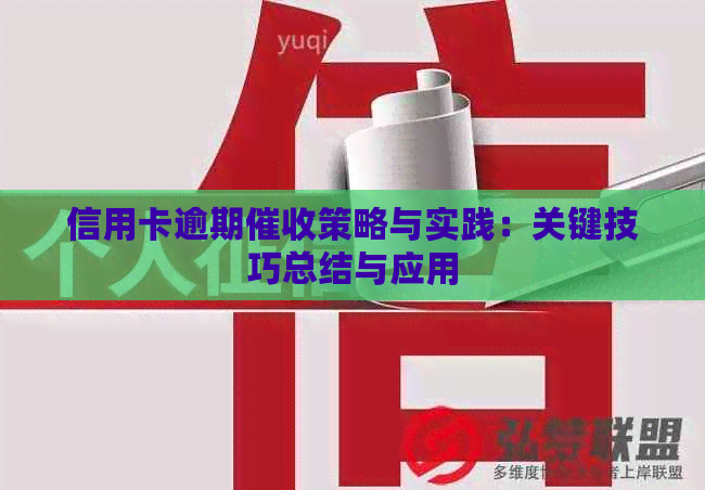 信用卡逾期策略与实践：关键技巧总结与应用