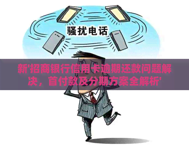 新'招商银行信用卡逾期还款问题解决，首付款及分期方案全解析'