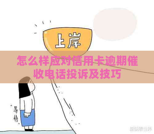 怎么样应对信用卡逾期电话投诉及技巧