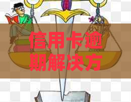 信用卡逾期解决方案：专业律师为您提供个性化建议与咨询服务