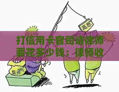 打信用卡官司请律师要花多少钱：律师收费标准及信用卡纠纷解决费用解析