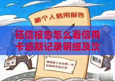 报告怎么看信用卡逾期记录明细及次数，以及欠款情况。