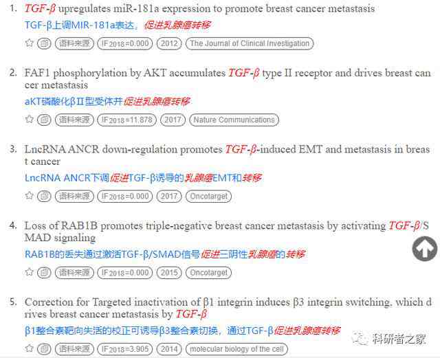 智能写作助手：神码AI写作工具全面助力文章创作与优化