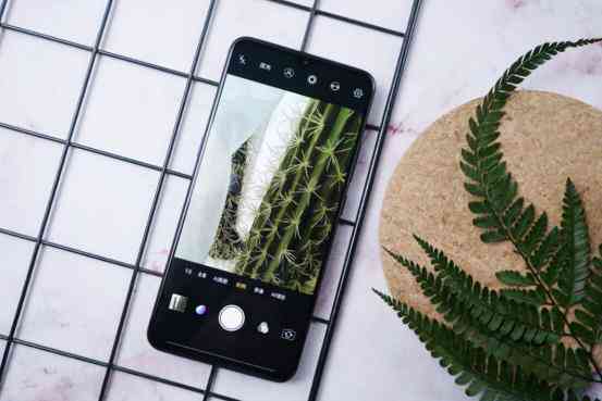 AI课程简介：探索人工智能基础、应用前景及学路径
