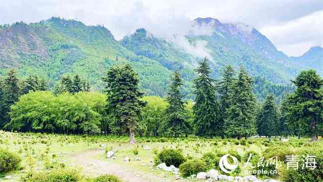 水彩风ai一键生成风景