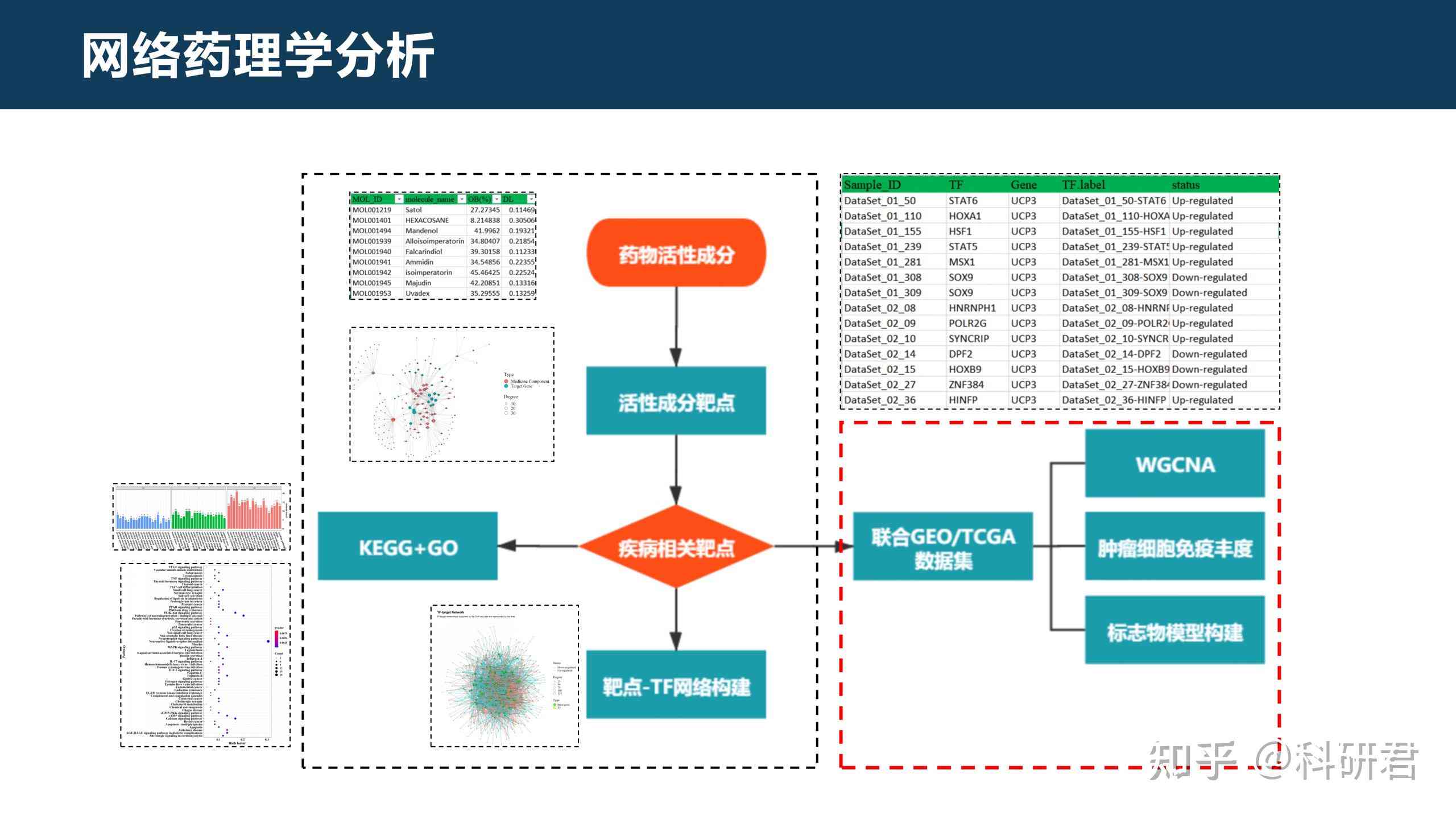 开题报告网：网络营销、网上提交步骤及药理学研究综合平台