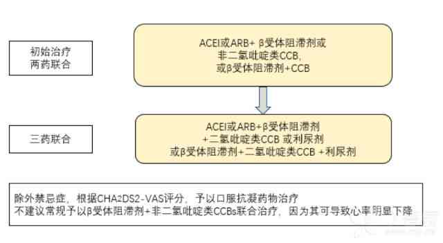 全面指南：如何成为一名优秀的AI培训师及培训策略详解