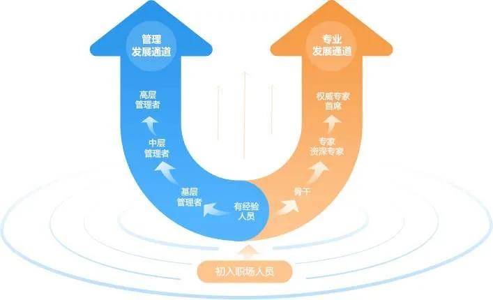 全面解析AI管理培训学校：课程质量、认证价值与职业发展前景评估