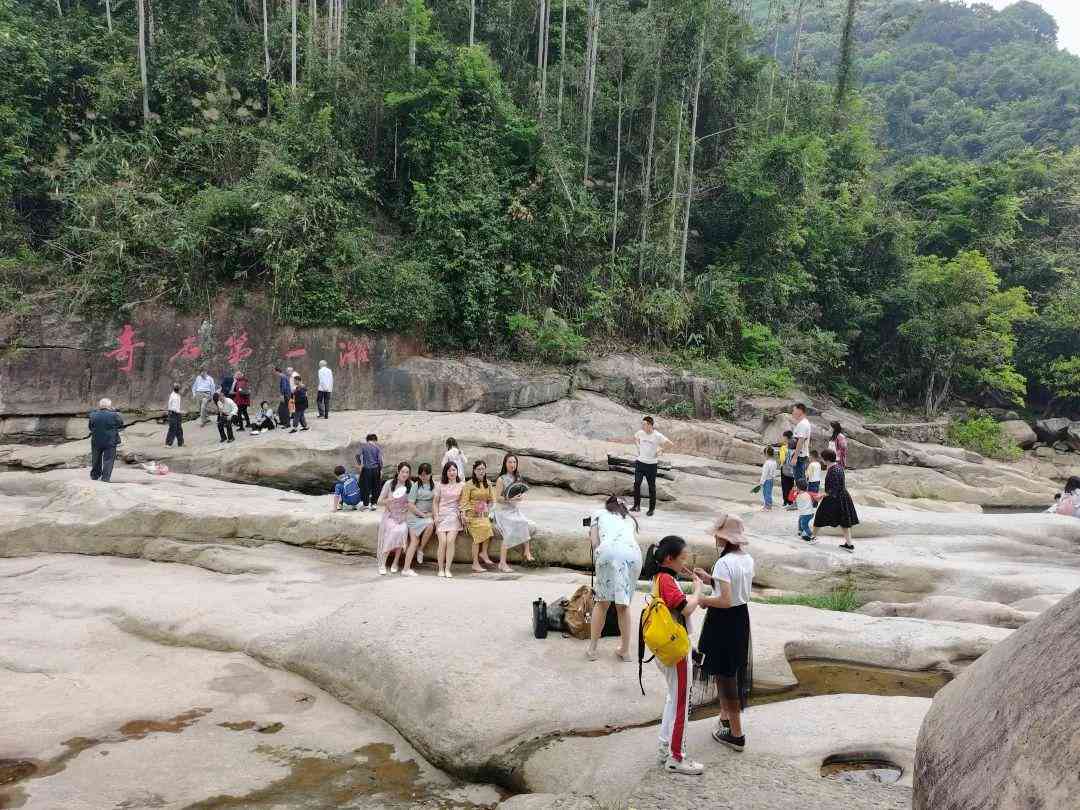 景区打卡软件：盘点热门软件，哪个更实用与推荐指南