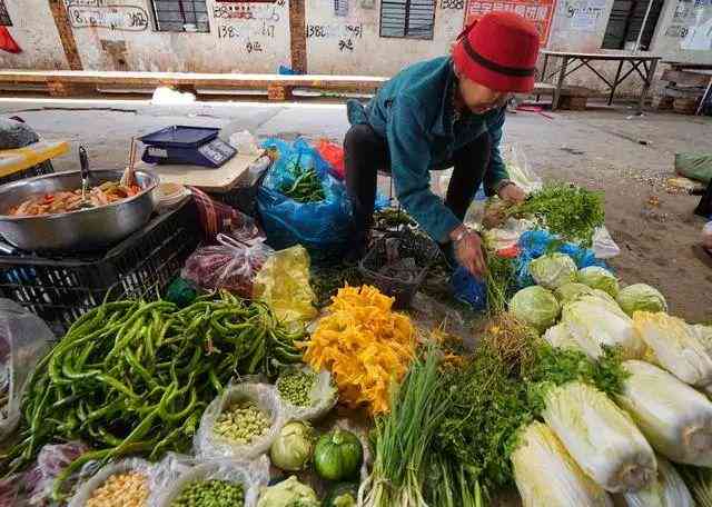 豌豆荚精选：哪些免费写作软件推荐，智能好用工具免费版盘点