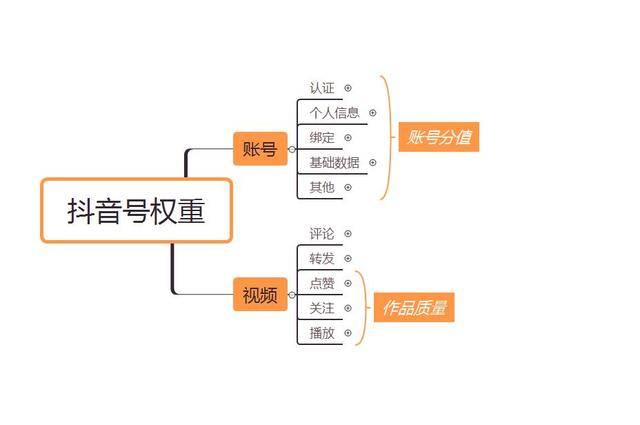 ai生成抖音子怎么做出来：揭秘背后的技术原理与创作流程