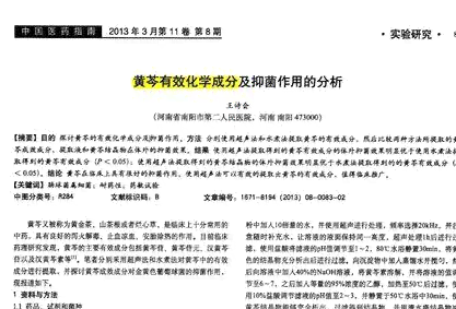 如何撰写全面的行政总结：涵写作技巧、模板与实例解析