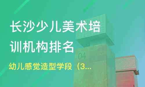 美术培训心得分享：全方位感悟与实用技巧总结