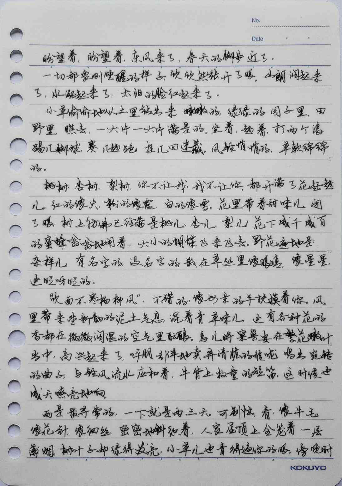 萝手写体制作工坊——专业手写模拟体验