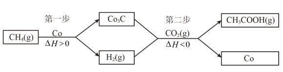 化学反应序列解析：a b c至d的完整转化过程及其条件探究