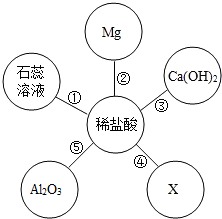 加氧气是什么反应类型及现象，反应方程式与生成物解析