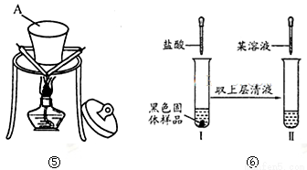 加氧气是什么反应类型及现象，反应方程式与生成物解析