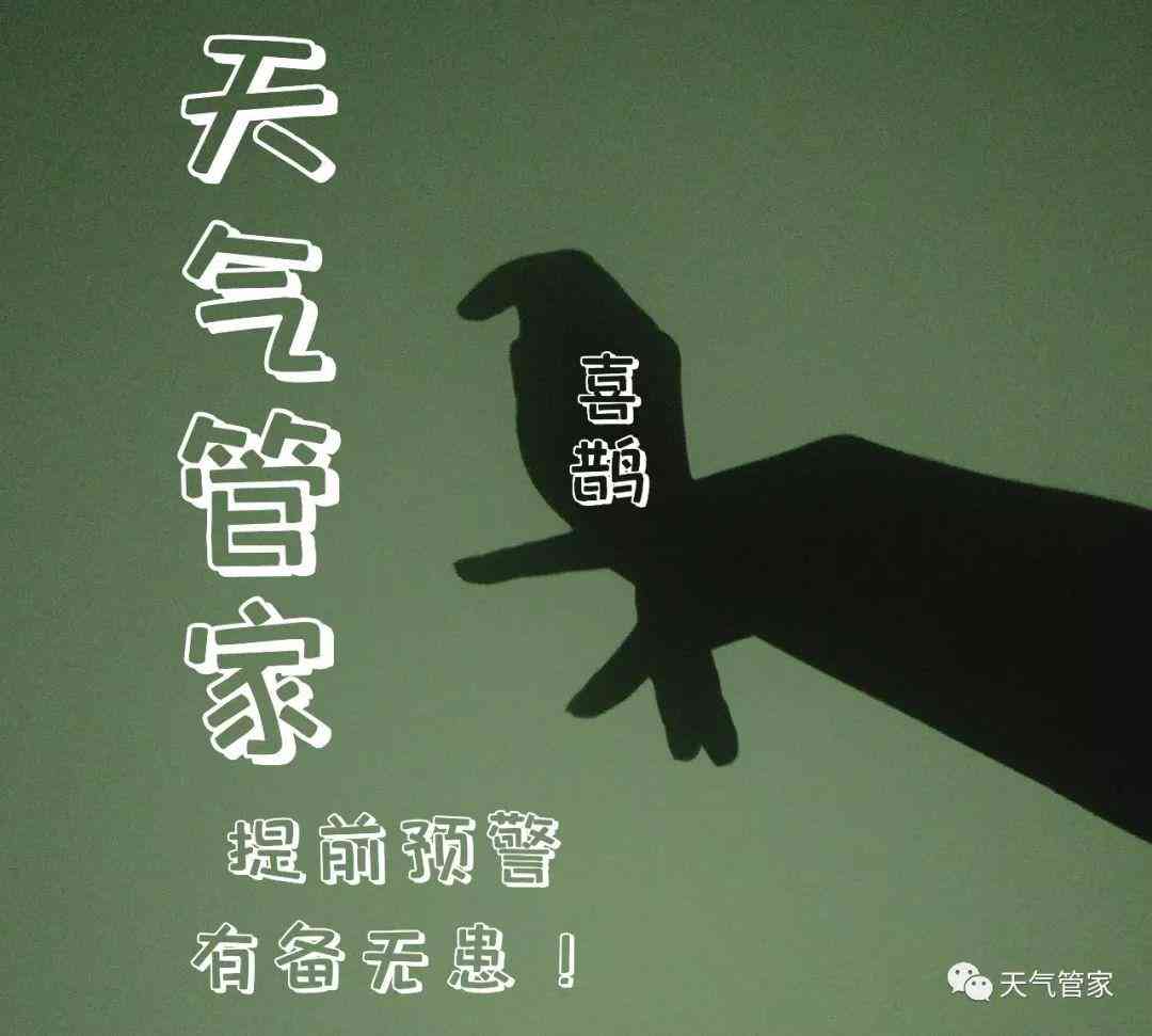 AI绘画单独生成双手操作软件：一键实现双手动作绘制