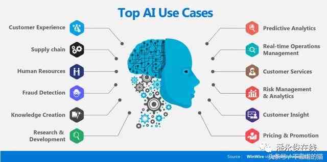 ai和什么软件功能类似：盘点与人工智能相似的软件工具及其特点