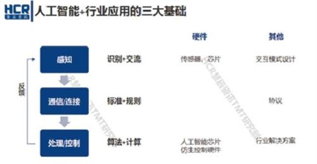 ai和什么软件功能类似：盘点与人工智能相似的软件工具及其特点