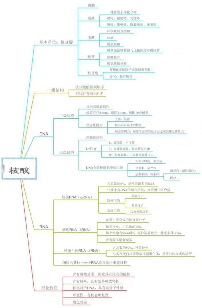 探索iMindMap替代品：全方位比较主流思维导图软件特性与选择指南