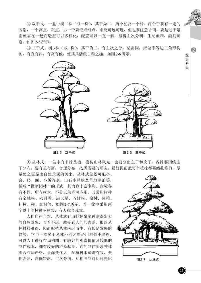 AI盆景设计全攻略：从入门到精通，打造个性化盆景艺术教程