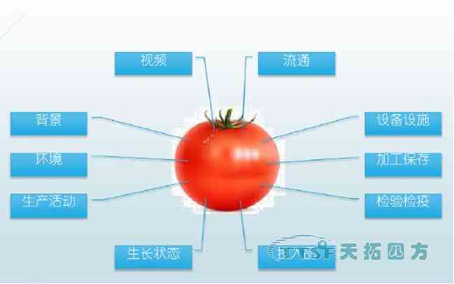 AI智能生成系统：一站式解决标识设计、制作与优化需求