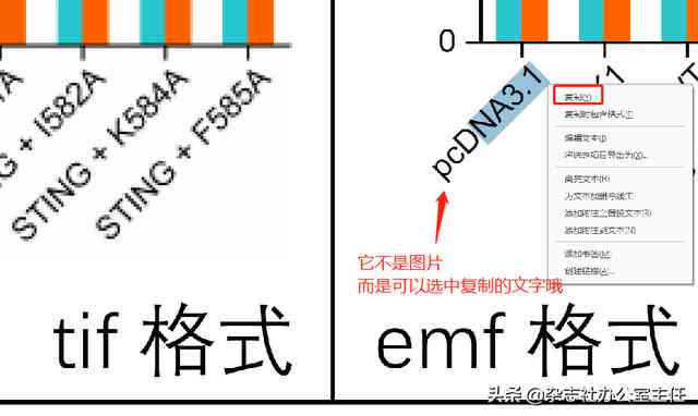 ai生成emf文件很大