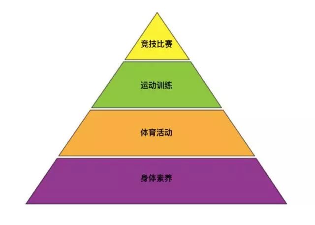 体育运动领域的社会分层现象及其影响解析：从运动员到观众的层级分析