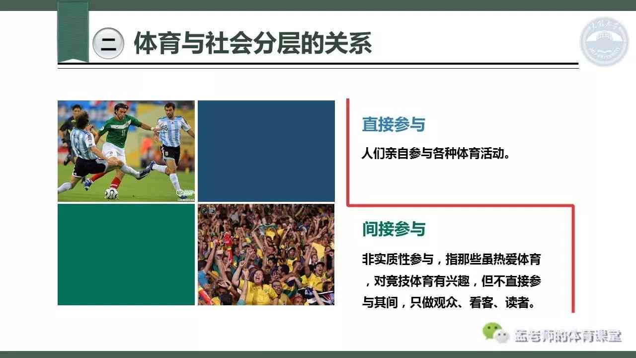 体育运动领域的社会分层现象及其影响解析：从运动员到观众的层级分析