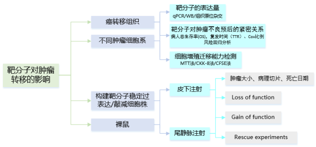 生成器模式实例：深入分析生成器模式的经典案例及其优缺点