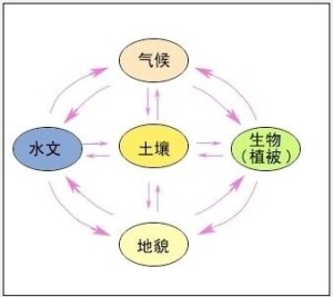 何为自然环境：定义、范畴及包含因素详解