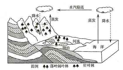 全面解析自然环境的构成要素及其相互作用与影响