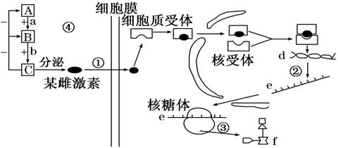 喝酒的基因：遗传机制、染色     置、显隐性及关键酶解析