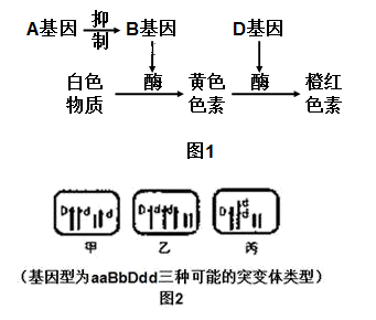 喝酒的基因：遗传机制、染色     置、显隐性及关键酶解析