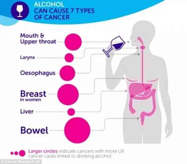 酒精对生物体影响及喝酒的科学解读：生理机制、健影响与潜在风险