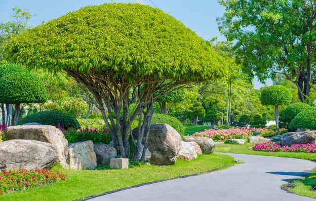 智能推荐：庭院景观设计软件，一键生成园林效果图与庭院造景设计