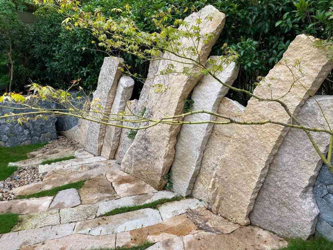 植物模型制作详解：从选材到成品全方位指南