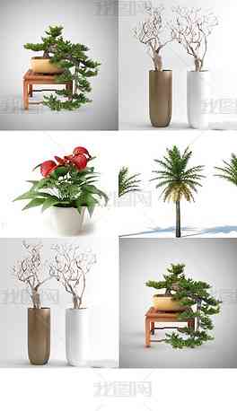 植物模型库：3D与简易制作方法