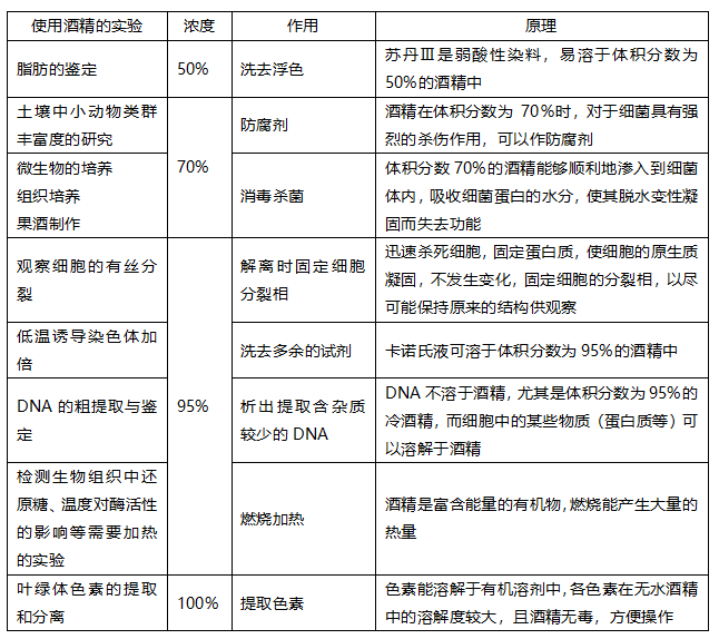 AI生成历照片全解析：技术原理、操作步骤与应用指南