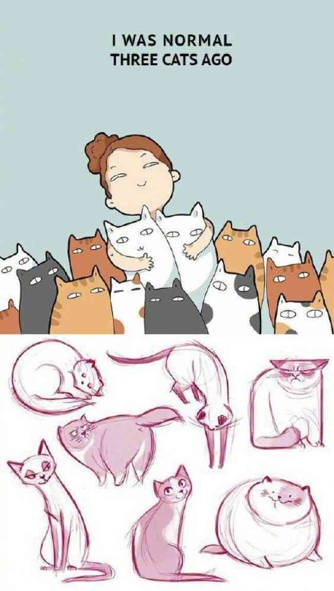 猫咪二次元卡通画法：二次元猫咪简笔画头像、插画及表情包教程