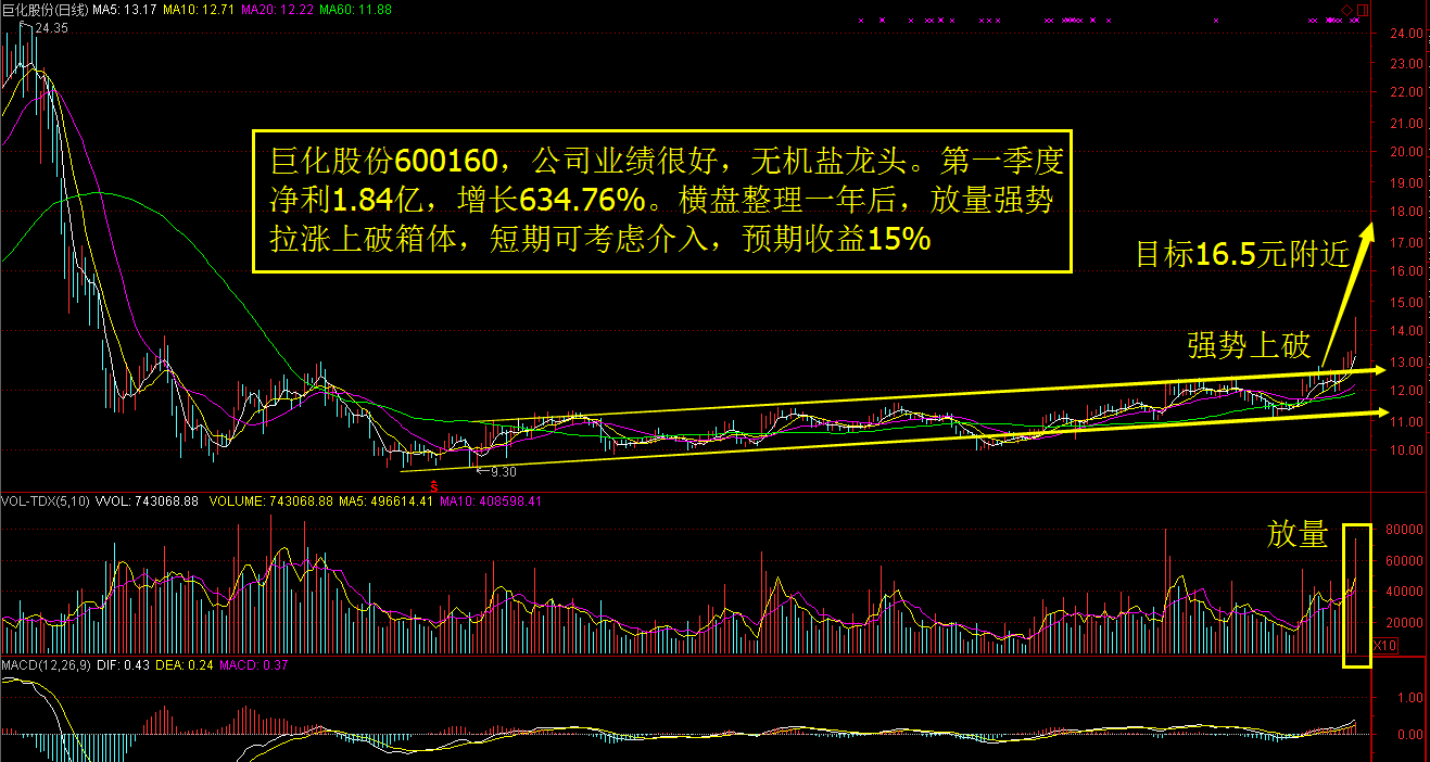 什么是生成式AI龙头公司名称及其股票代码？