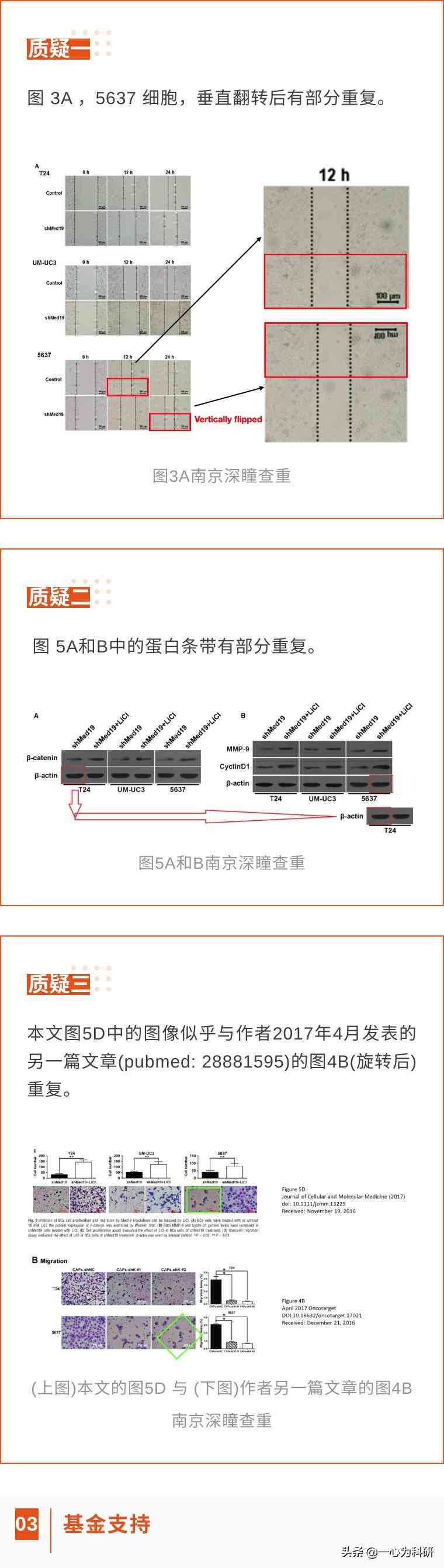 ai论文生成器：免费使用、防重复选择、优质软件推荐与版探讨